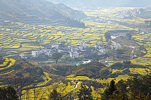 xs quang ngai hom nay