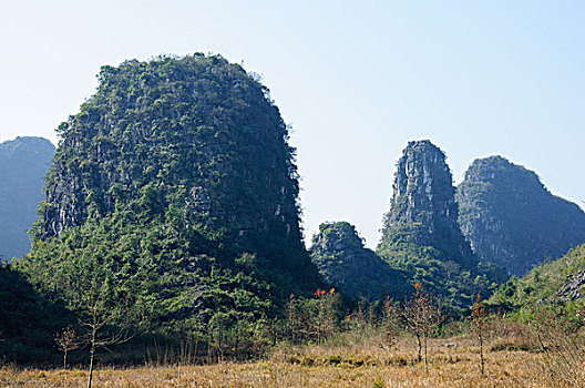 soi cau mb 568