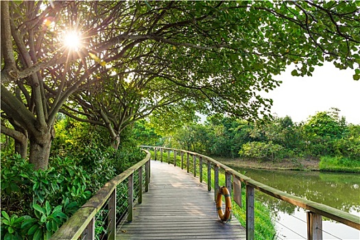soi cầu bình định