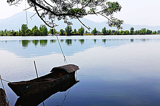 soi cau bach thu xs gia lai hom nay