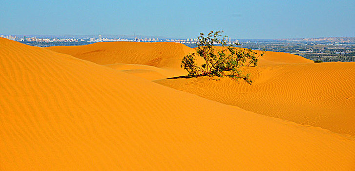xs thu nam