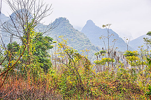 thong ke dac biet tuan