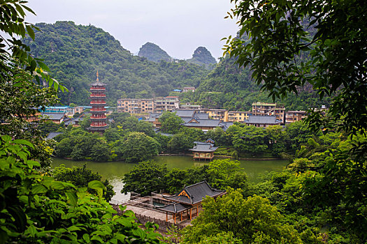 bach thu lo kep mien bac