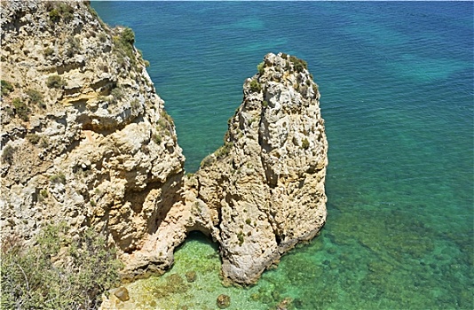 du doan rong bach kim