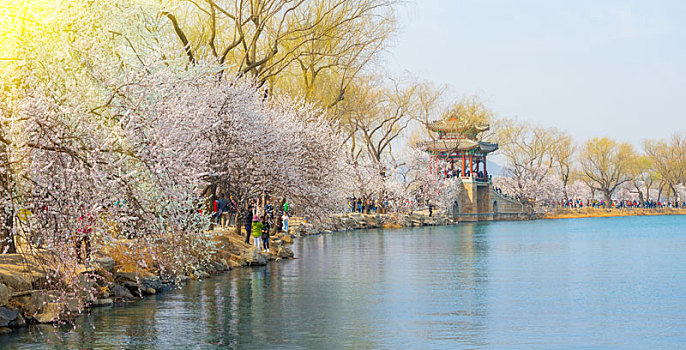 đánh lô dàn