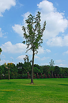 dự đoán xổ số quảng ngãi hôm nay