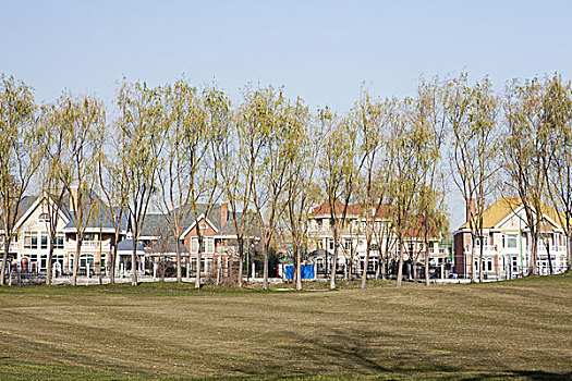 sổ kết quả 30 ngày